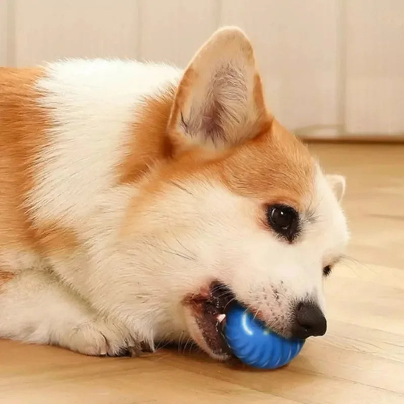 Dog Automatic Moving Bouncing Toy Ball