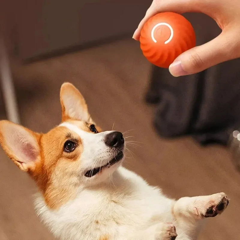 Dog Automatic Moving Bouncing Toy Ball